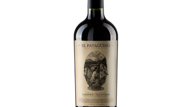 El Patagüino Cabernet Sauvignon