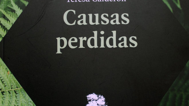 Causas Perdidas de Teresa Calderón