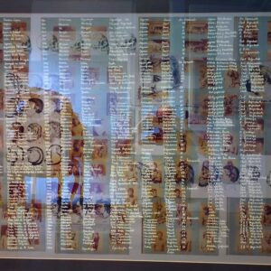 Atlas zoo humano - Voluspa Jarpa